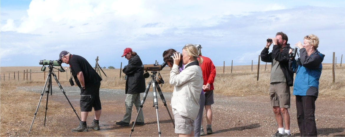 portugal wildlife tour