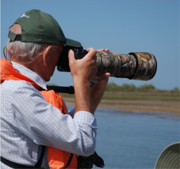 Birdwatching Wildlife Tour Ria Formosa